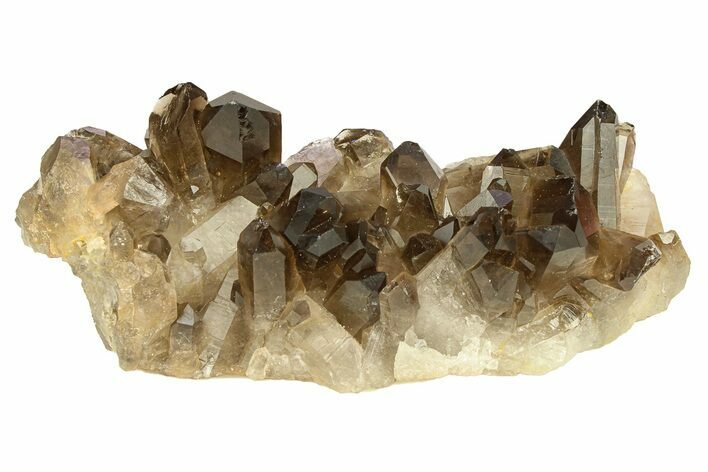 Dark Smoky Quartz Crystal Cluster - Brazil #302195